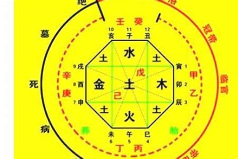 龍德 八字|八字神煞 龙德 (八字里龙德星是什么意思)